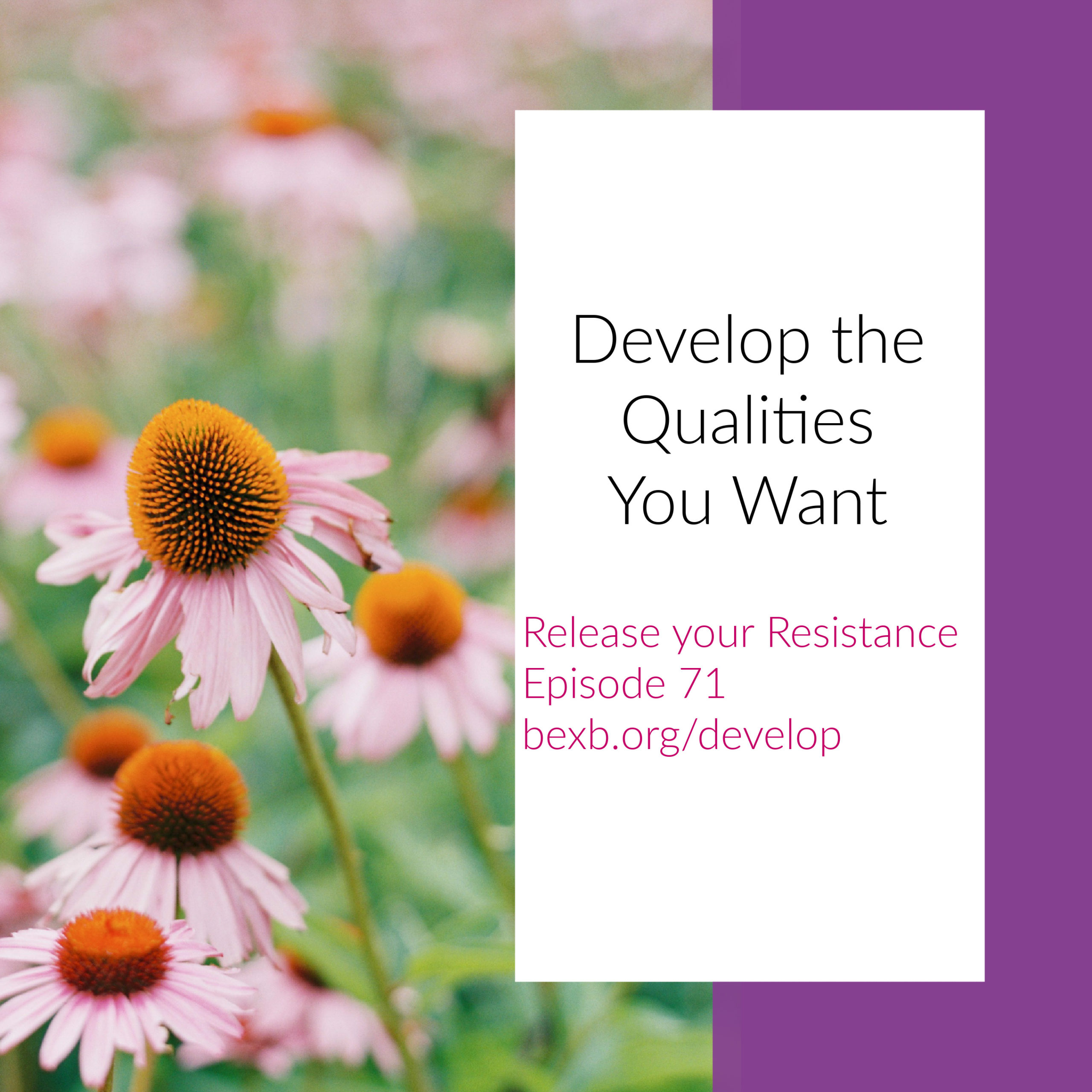 Develop Qualities You Want - Bex Beltran